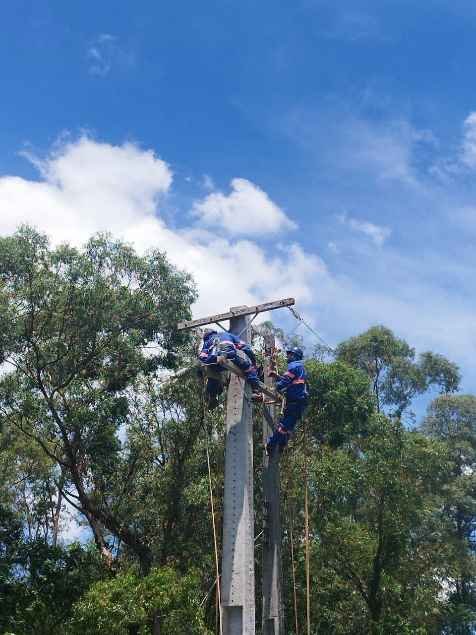 Eletricistas da MS trabalhando no alto de um poste com equipamentos de segurança